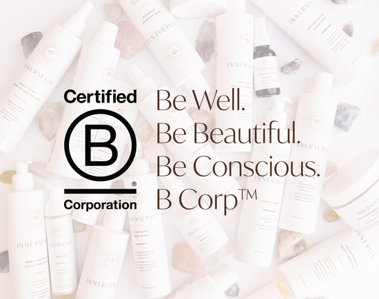 b corp, b corporation, certified b corporation and b corp certification