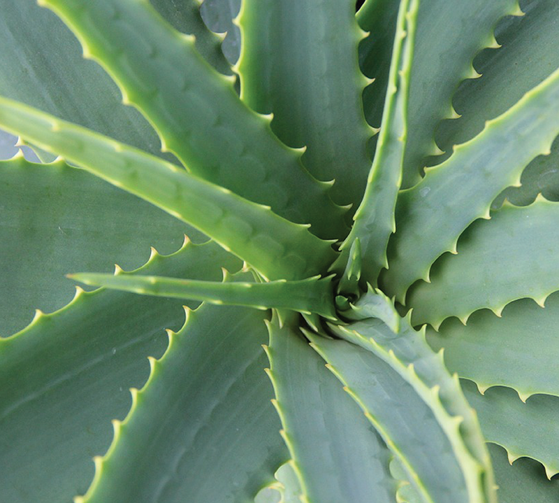 People & Planet Commitment